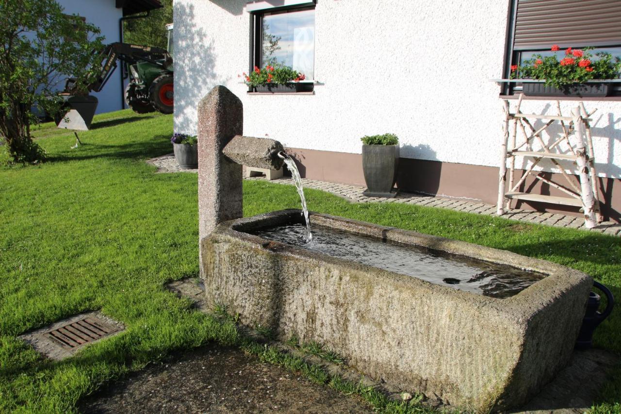 Apartman Mitterdorf Almberg 7 Mitterfirmiansreut Buitenkant foto