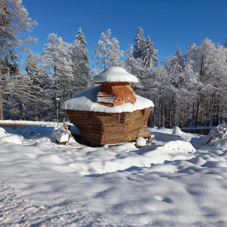 Apartman Mitterdorf Almberg 7 Mitterfirmiansreut Buitenkant foto
